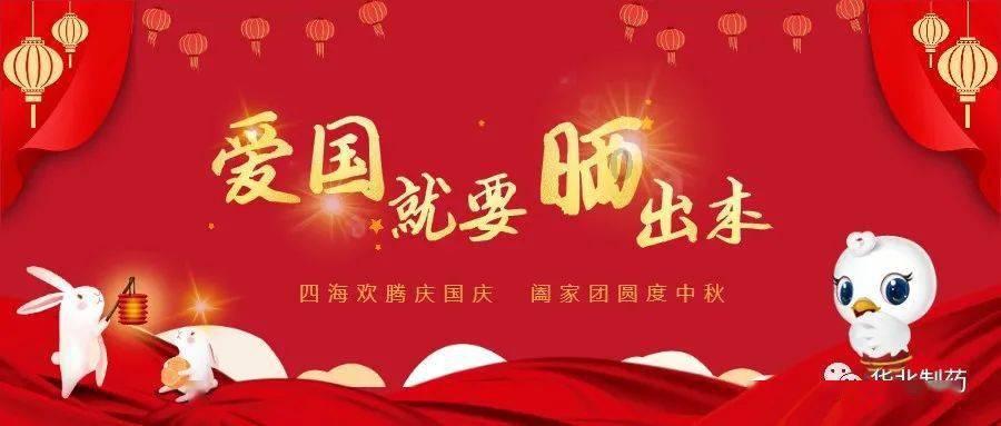 救援受困的小野猫